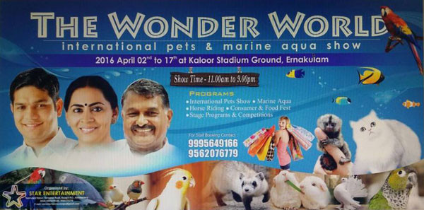 Wonder-world-pets-marine-aq
