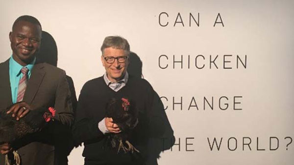 Bill-Gates-to-donates-chick